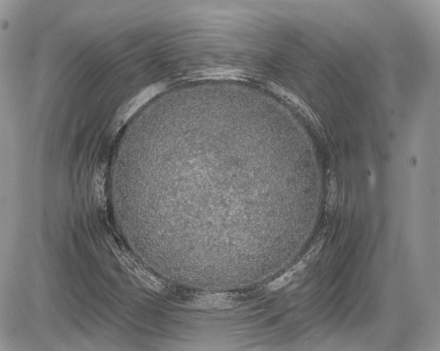 X0000085271162200703161422