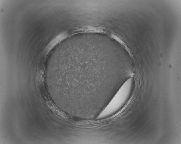 X0000085271163200703161422