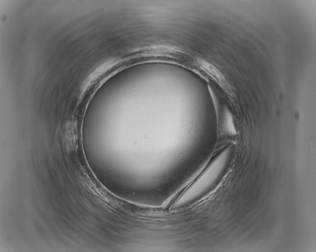 X0000085271164200703161422