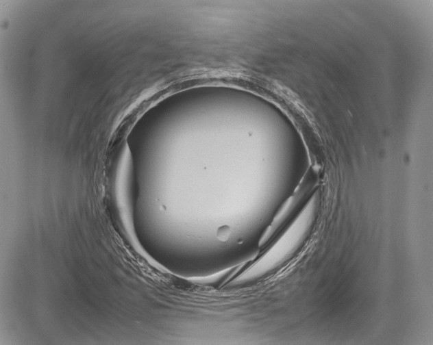 X0000085271165200703161422