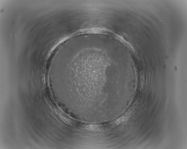 X0000085271166200703161422