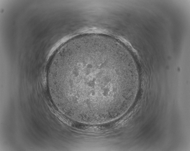 X0000085271167200703161422