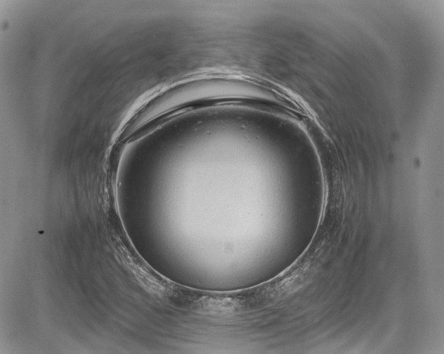 X0000085271168200703161422