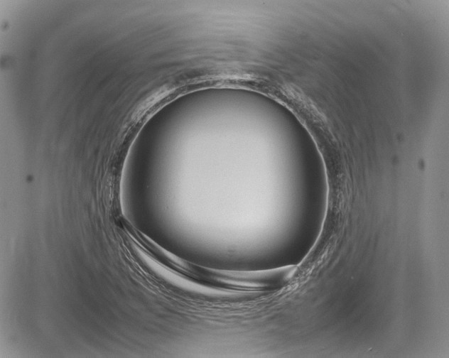 X0000085271169200703161422