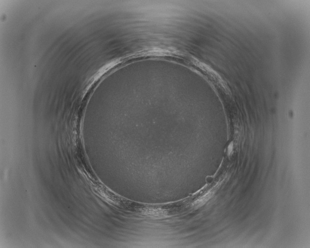 X0000085271170200703161422