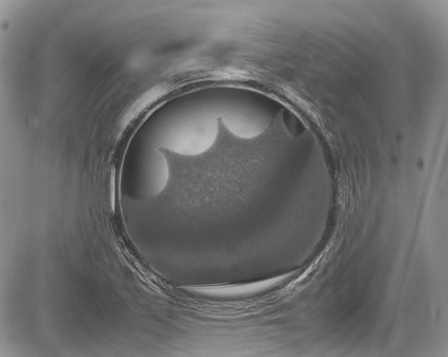 X0000085271171200703161422