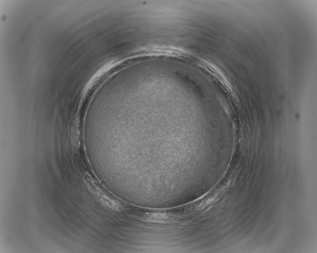 X0000085271172200703161422