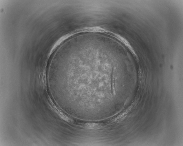 X0000085271176200703161422