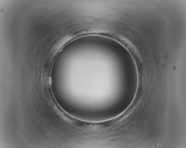 X0000085271177200703161422