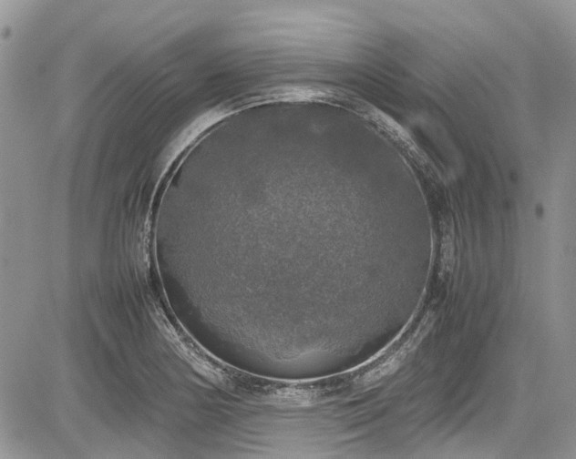 X0000085271178200703161422