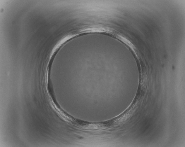 X0000085271179200703161422