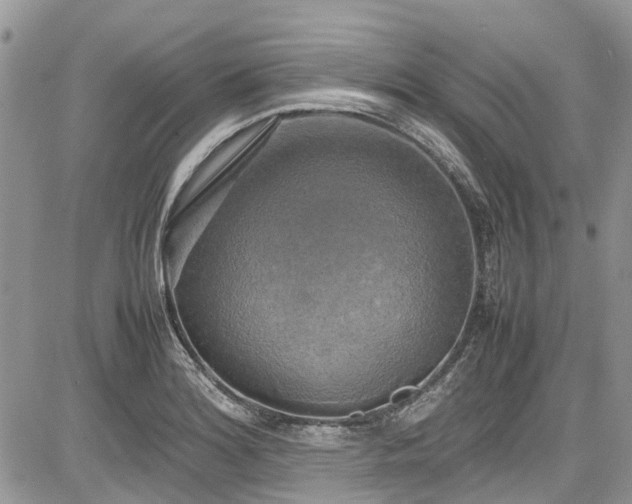 X0000085271180200703161422