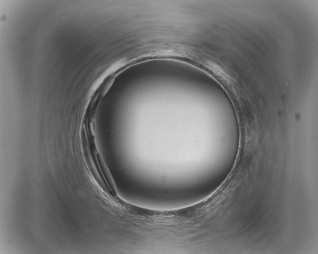 X0000085271181200703161422