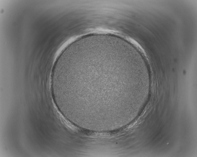 X0000085271183200703161422