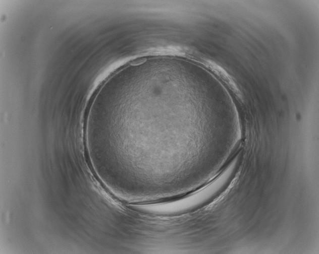 X0000085271184200703161422