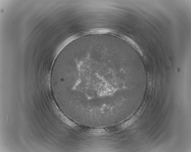 X0000085271186200703161422