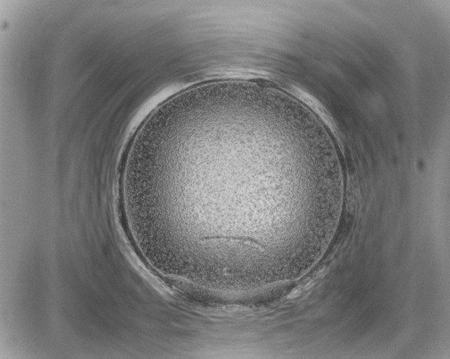 X0000085271187200703161422