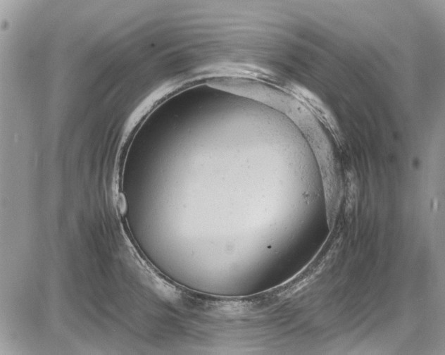 X0000085271188200703161422