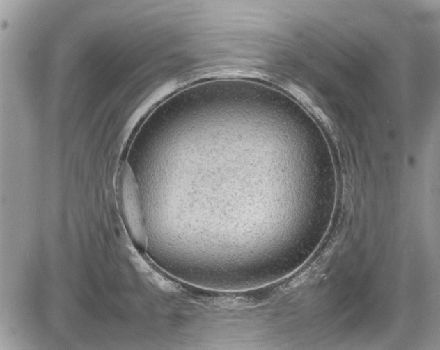 X0000085271189200703161422