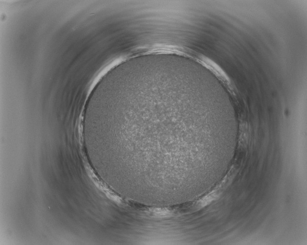 X0000085271190200703161422