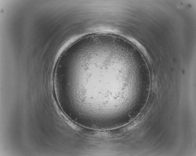 X0000085271191200703161422