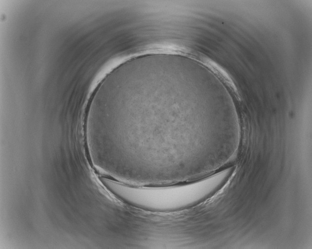 X0000085271192200703161422