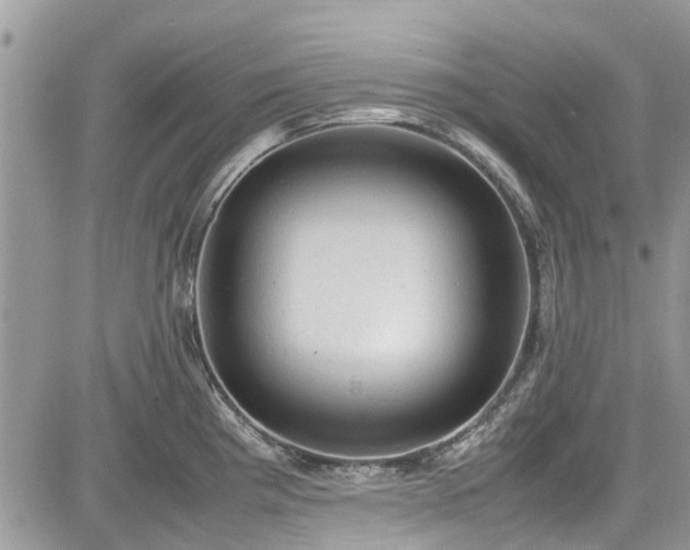 X0000085271193200703161422