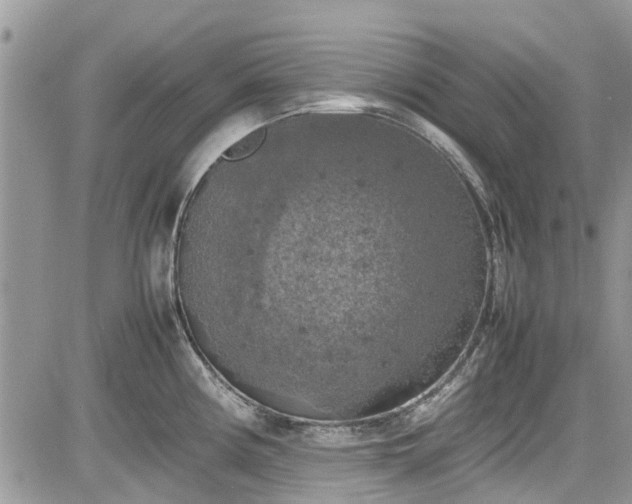 X0000085271194200703161422