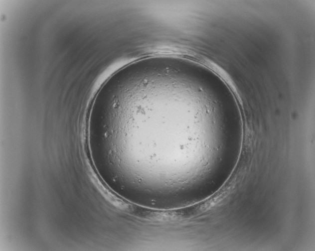 X0000085271195200703161422