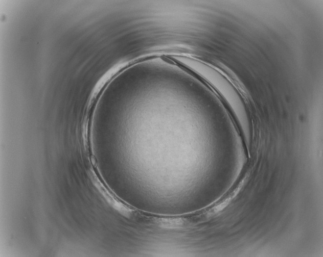 X0000085271196200703161422