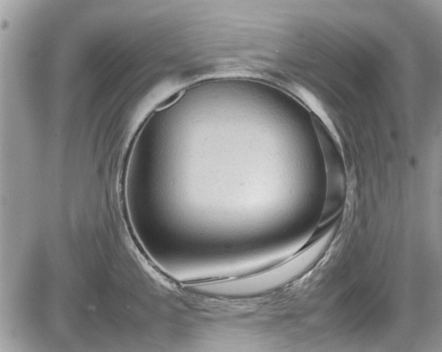 X0000085271197200703161422