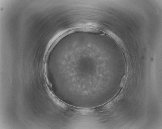 X0000085271200200703161421