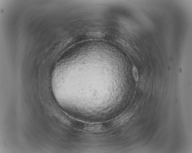 X0000085271201200703161421