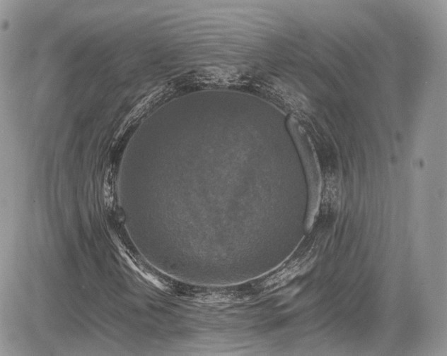 X0000085271202200703161421