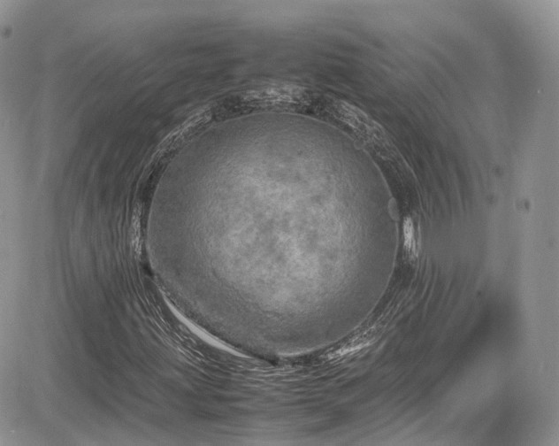 X0000085271203200703161421