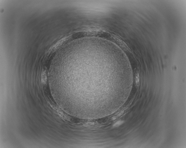 X0000085271204200703161421