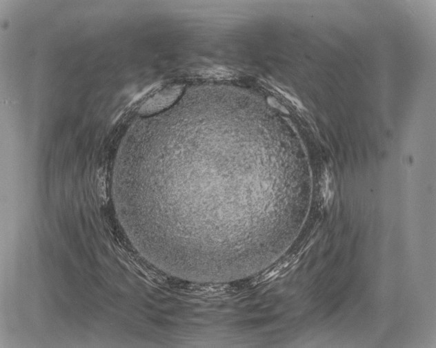 X0000085271205200703161421