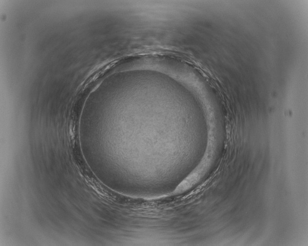 X0000085271206200703161421