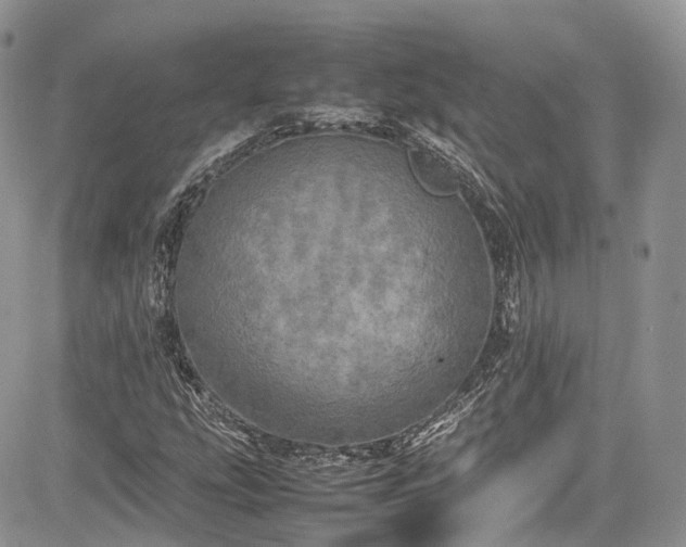 X0000085271207200703161421