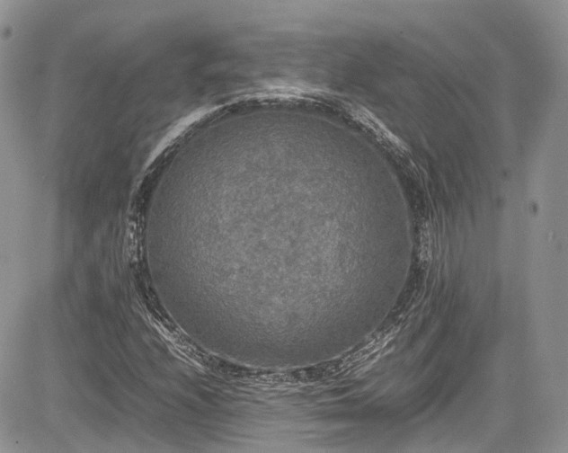 X0000085271208200703161421