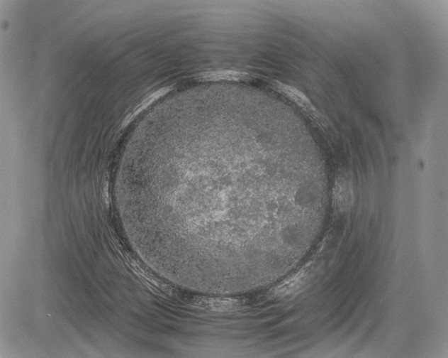 X0000085271209200703161421