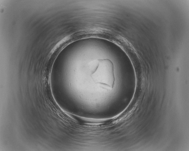 X0000085271210200703161421