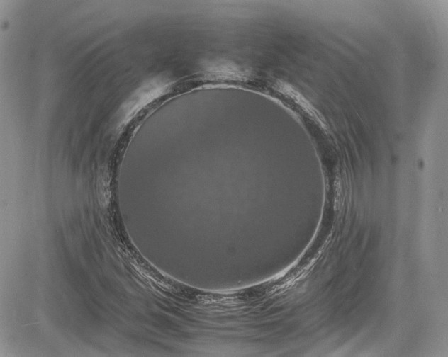 X0000085271213200703161421