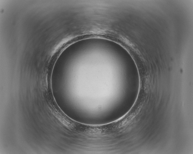 X0000085271214200703161421