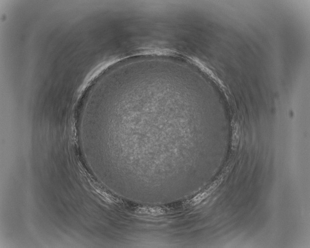 X0000085271215200703161421