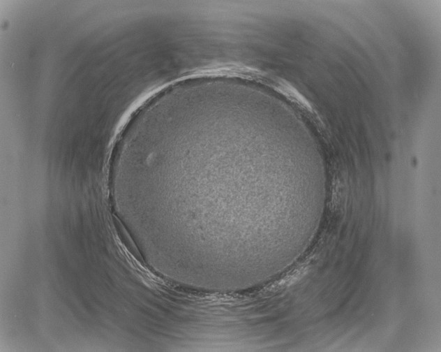 X0000085271216200703161421