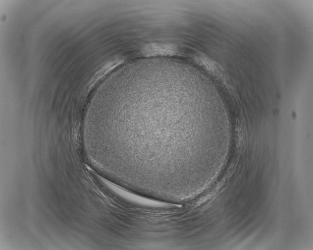 X0000085271217200703161421