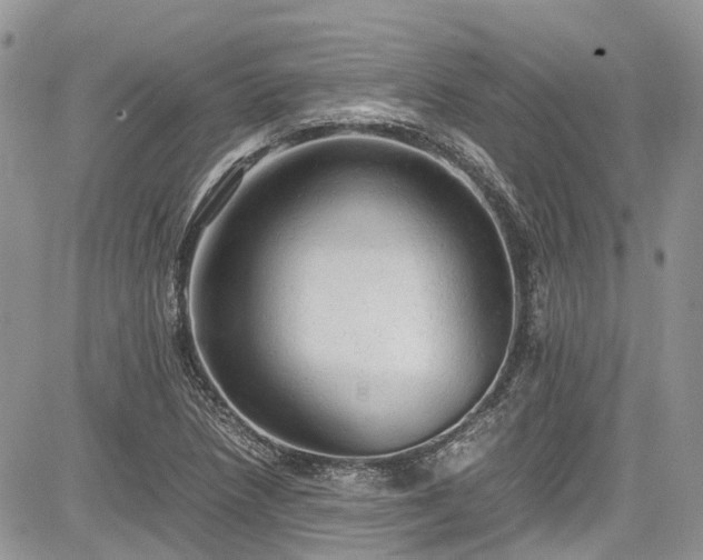 X0000085271218200703161421