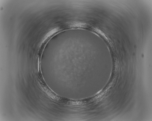 X0000085271219200703161421