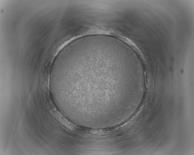 X0000085271220200703161421